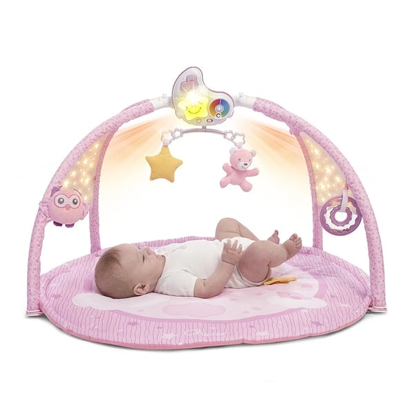Ch.Bri98661000 Ginasio First Dreams Ros